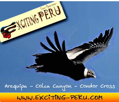 Exciting Peru Tour Operator Arequipa - Colca Canyon