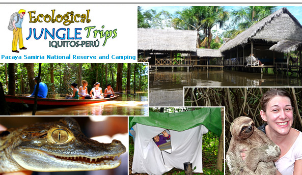 Ecological Jungle Trips