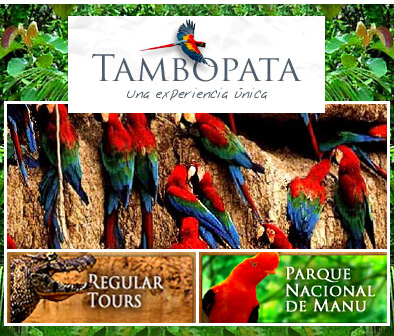 Tambopata - Manu