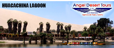 Angel Desert Tours