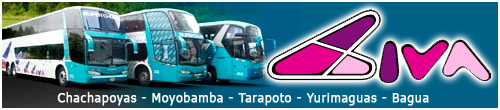 Civa Transports Amazonas Tours