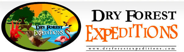 Dry Forest Expeditions Piura