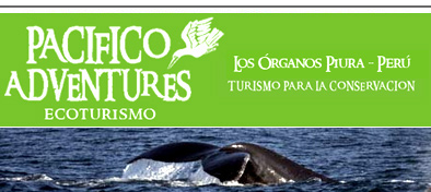 Pacifico Adventures - Piura - Los Organos Beach